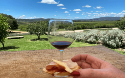 Mudgee Road Trip Guide: Wineries, History & Local Experiences in NSW