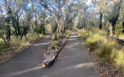 Walking in the Same Direction in Marriage – Even When the Pace is Different