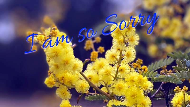 Sapphire Blue Travel