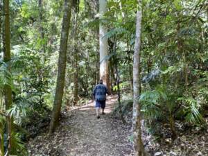 Sapphire Blue Travel