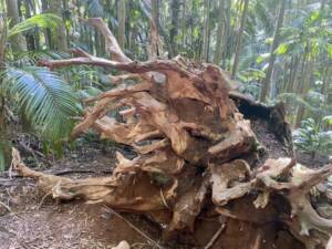 Sapphire Blue Travel