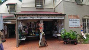 Sapphire Blue Travel