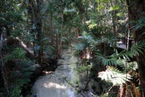 Sapphire Blue Travel - K'gari