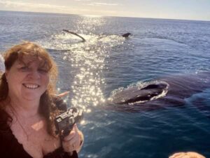 Sapphire Blue Travel - Hervey Bay