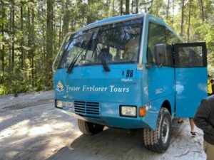 Sapphire Blue Travel - K'gari