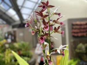 Sapphire Blue Travel