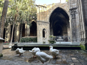 Sapphire Blue Travel