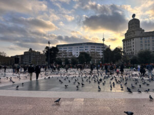 Sapphire Blue Travel