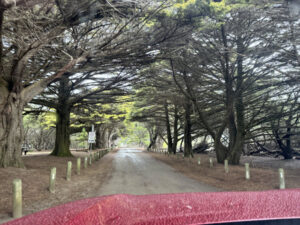 Sapphire Blue Travel