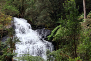 Sapphire Blue Travel